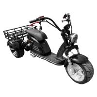 Электроскутер GT M6 Trike черный