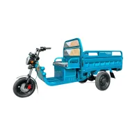 Грузовой электротрицикл IKINGI С-06