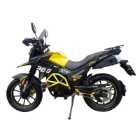 Мотоцикл туристический эндуро BamX BX300-X66 (воздушное охл.) желтый